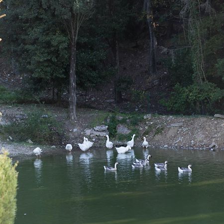 Tenuta La Bandita Sassetta Buitenkant foto