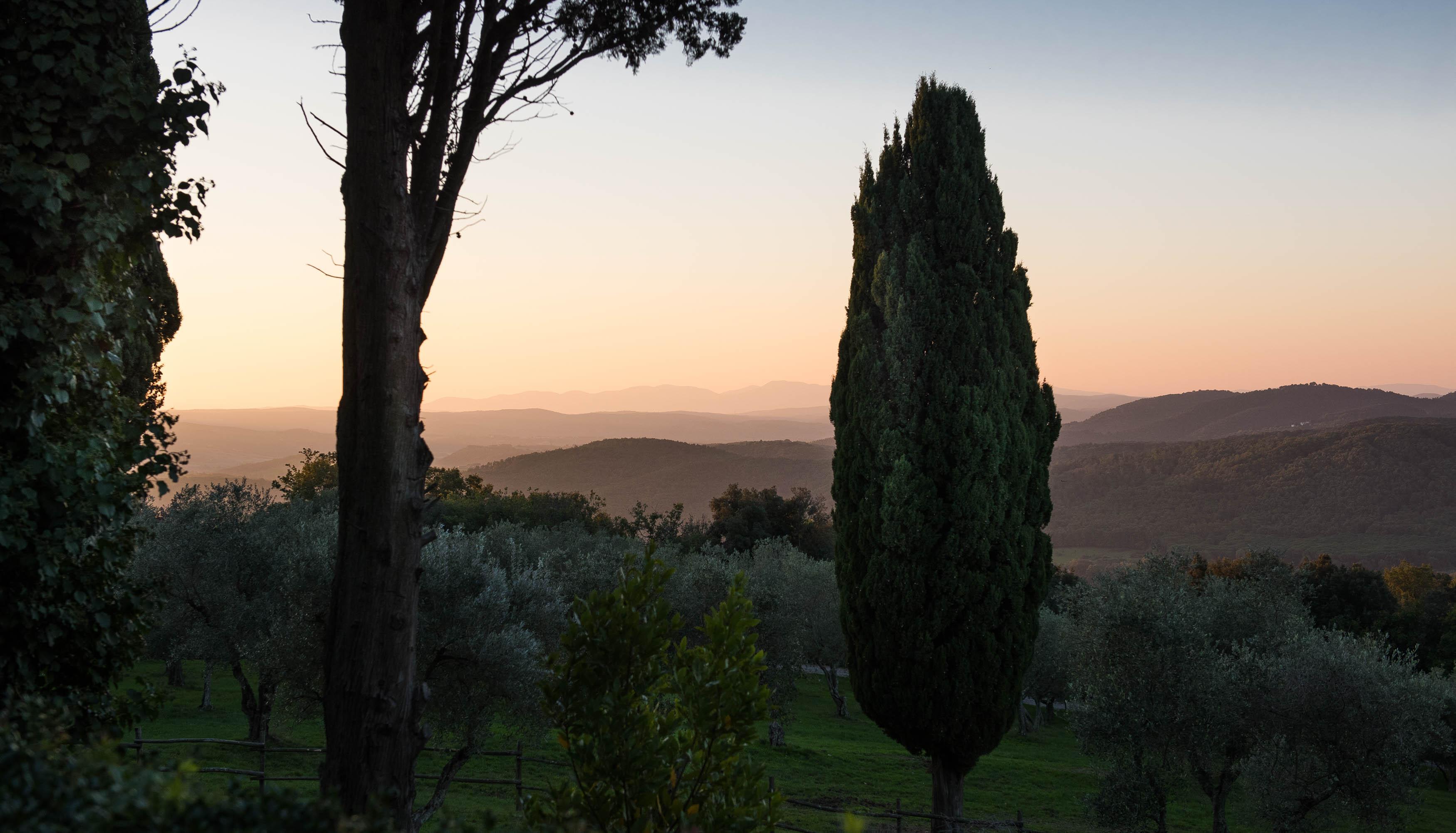 Tenuta La Bandita Sassetta Buitenkant foto