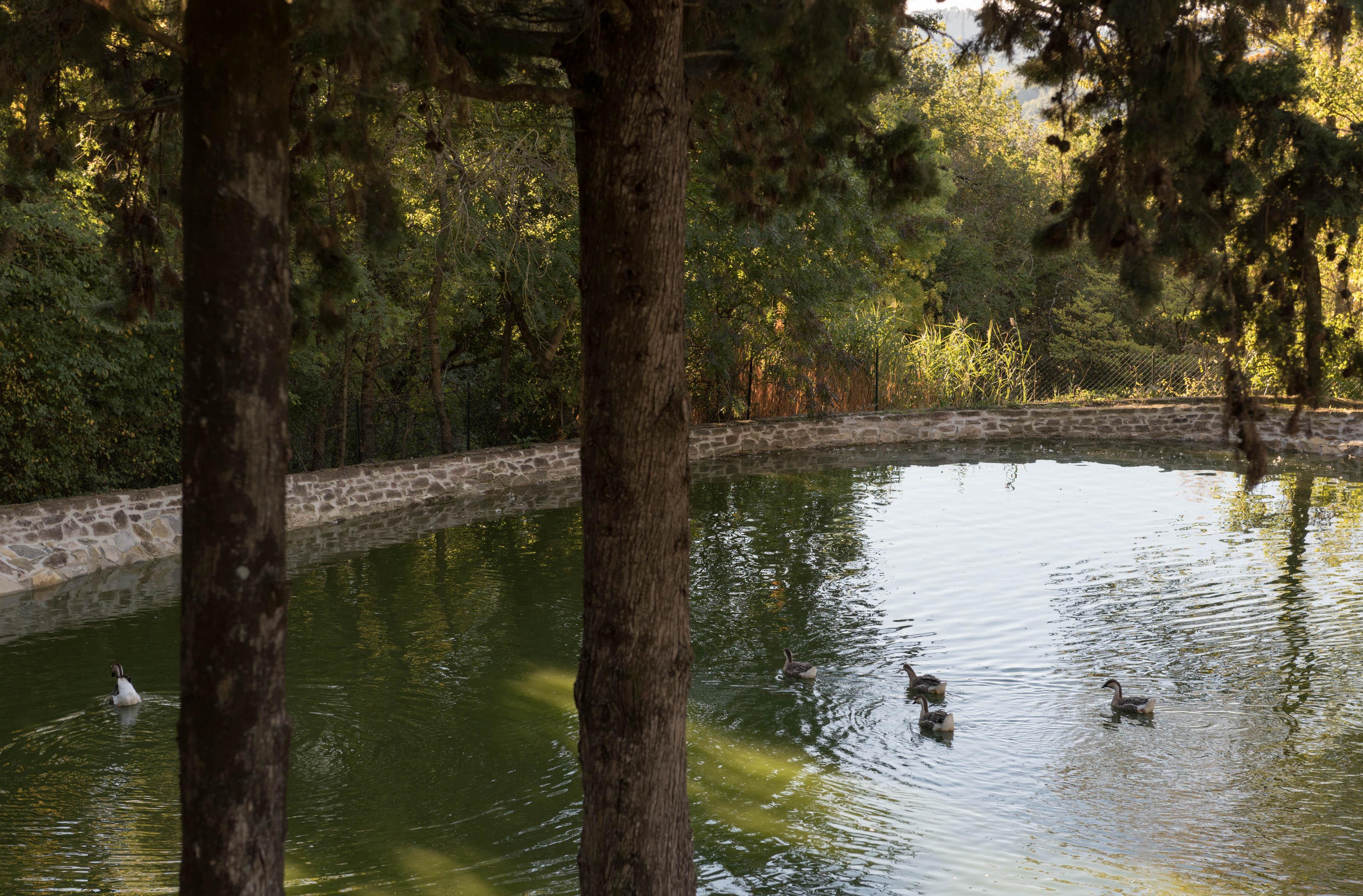 Tenuta La Bandita Sassetta Buitenkant foto