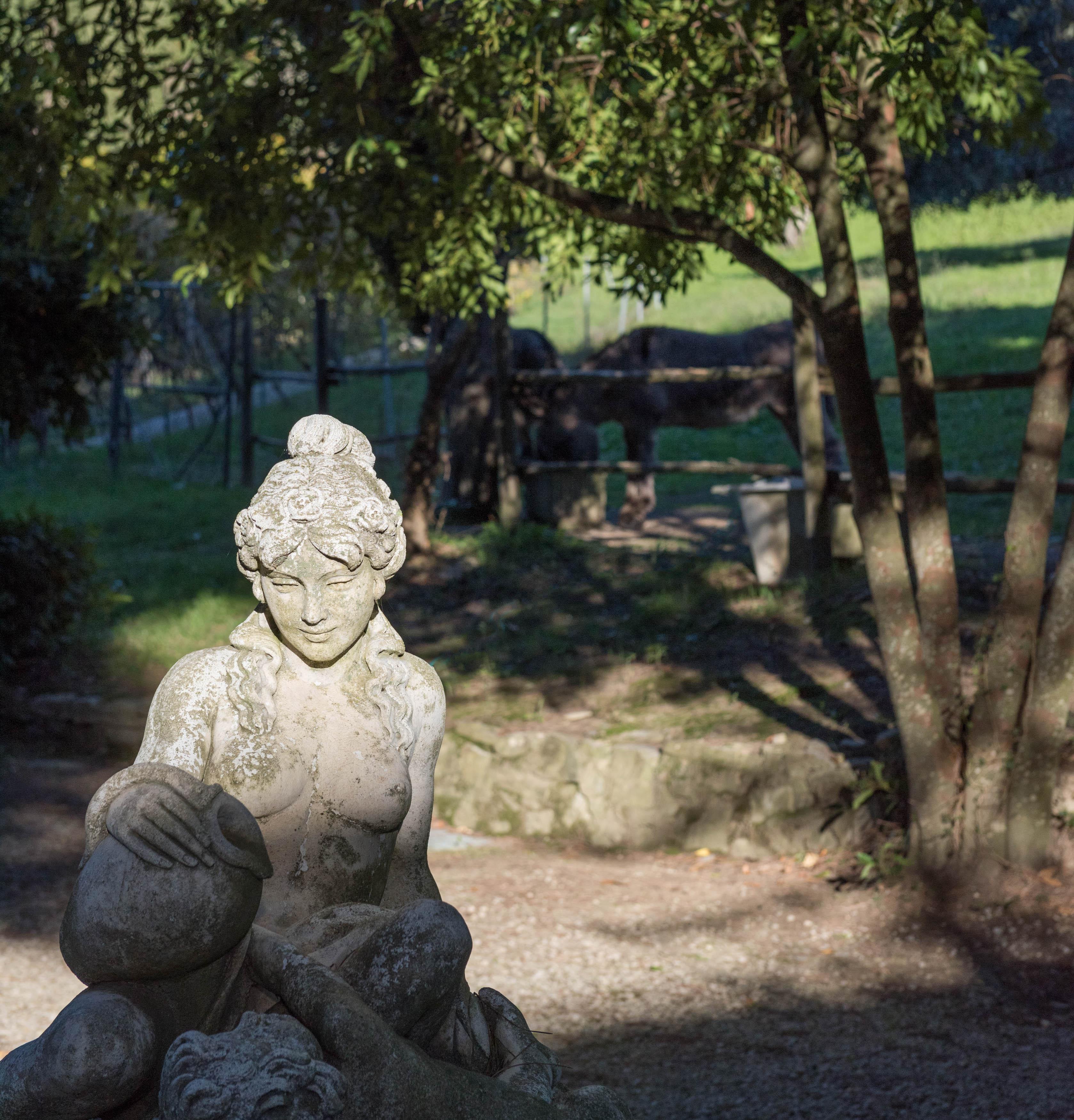 Tenuta La Bandita Sassetta Buitenkant foto