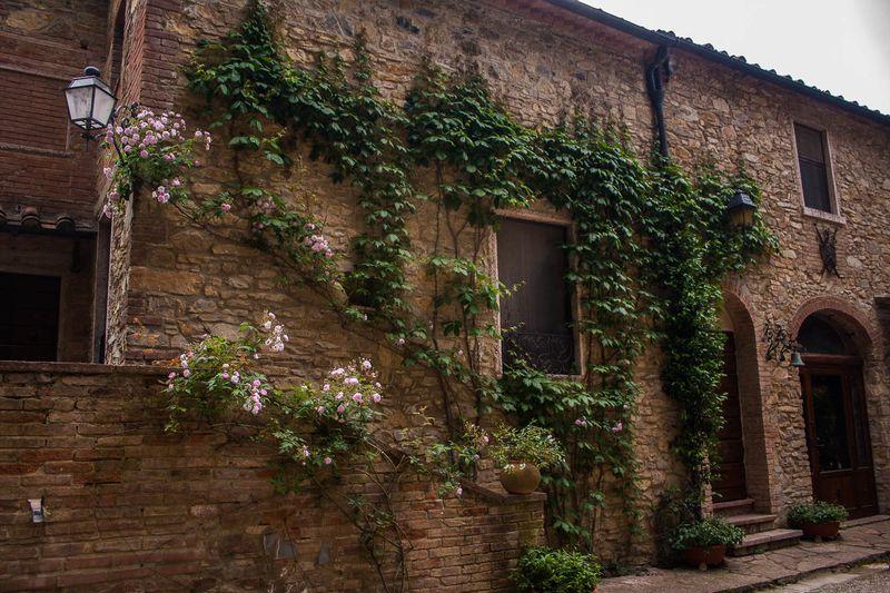 Tenuta La Bandita Sassetta Buitenkant foto