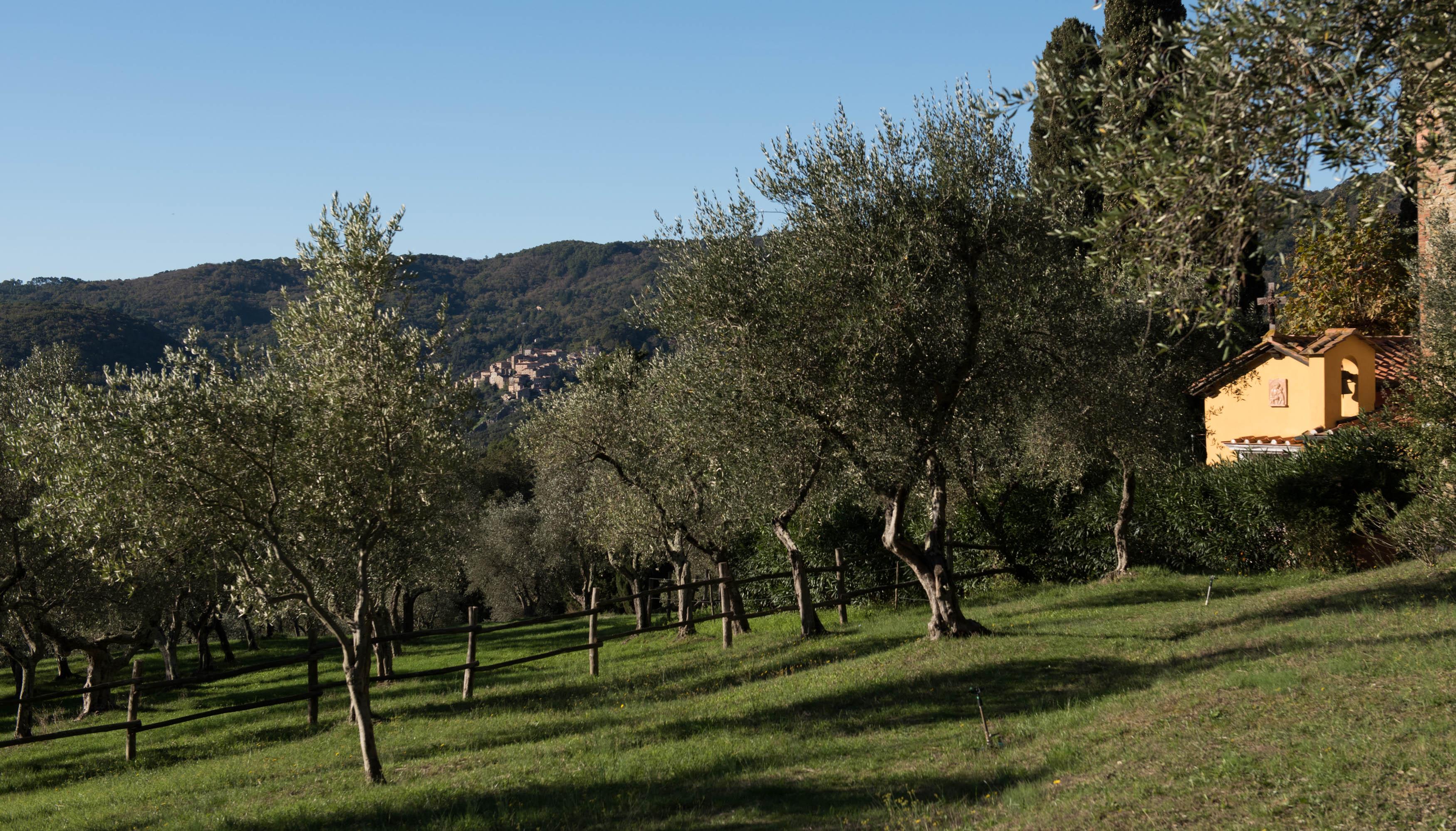Tenuta La Bandita Sassetta Buitenkant foto
